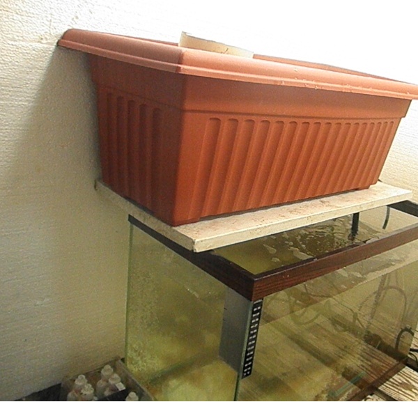 PC160001 (800x600).jpg