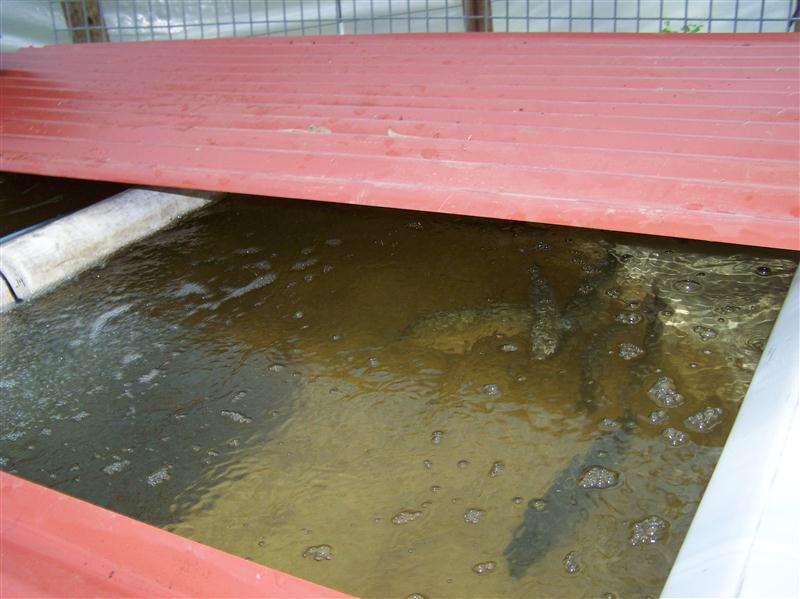 100_5789 (Custom).JPG