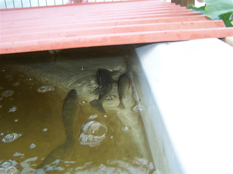 100_5792 (Custom).JPG