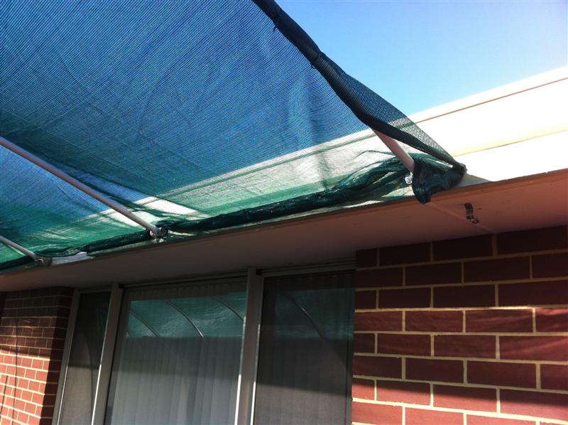 photo(2) (Medium).JPG