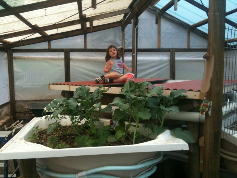 The joy of fish 1.jpg