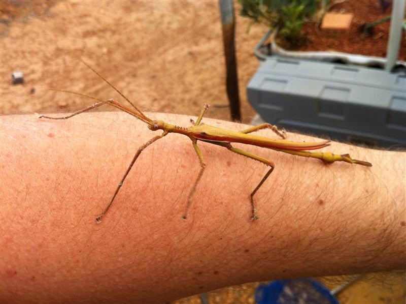 IMG_0407 (Medium).jpg