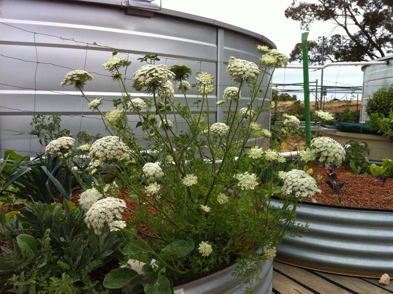 IMG_0435 (Medium).jpg