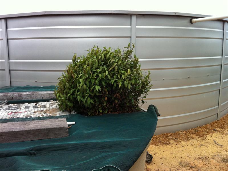 IMG_0437 (Medium).jpg