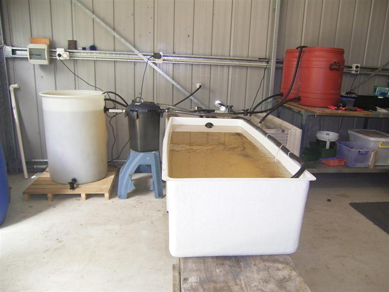 Extended System (Medium).jpg