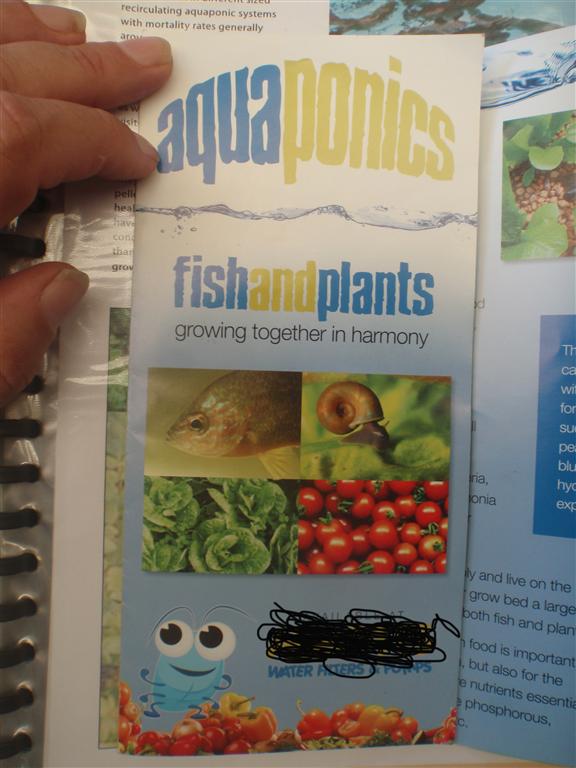 PC210678 (Medium).JPG