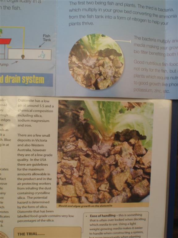 PC210676 (Medium).JPG