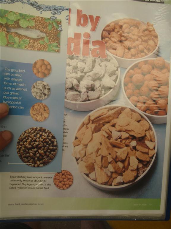 PC210675 (Medium).JPG