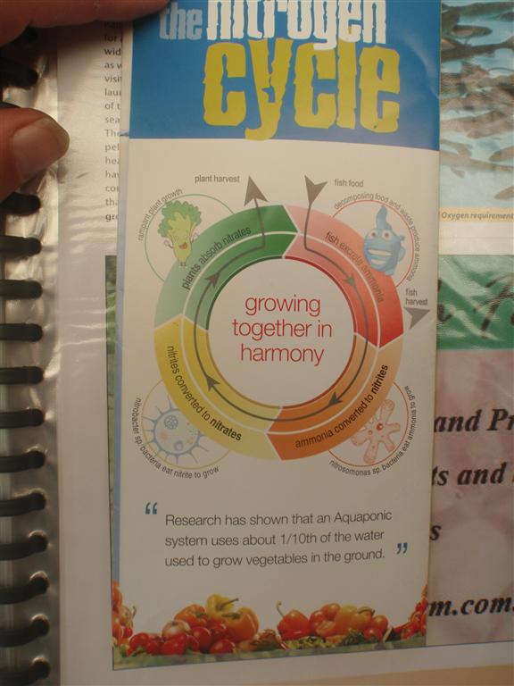 PC210679 (Medium).JPG