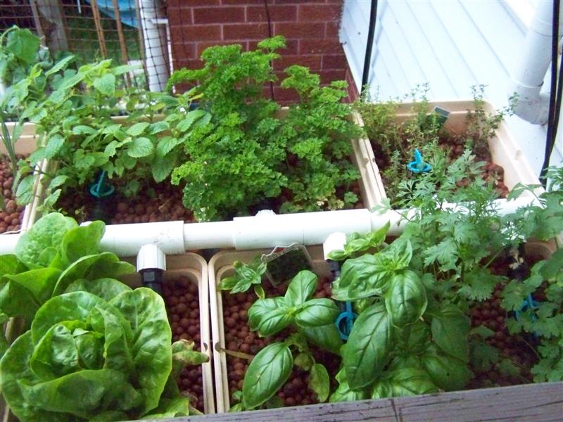 100_1840 (Medium).JPG