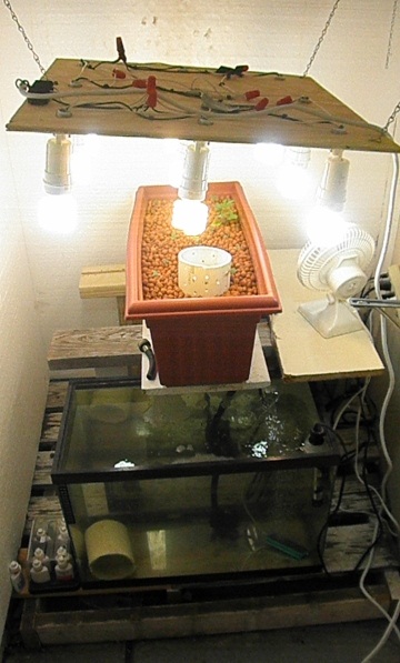 PC220002 (360x640).jpg