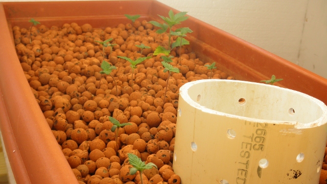 PC220005 (640x360).jpg