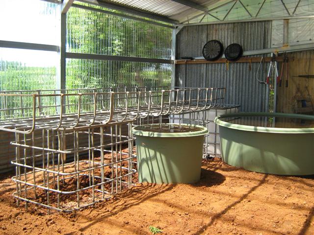 Our Aquaponics System 084 (Small).jpg