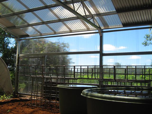 Our Aquaponics System 086 (Small).jpg