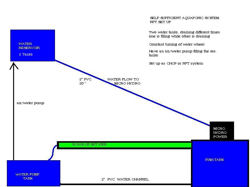 AQUAPONIC IDEA NFT SETUP 1.JPG