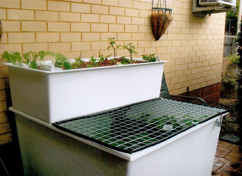 Amana Living - Hale Hostel Coolbellup 1 (Medium).jpg