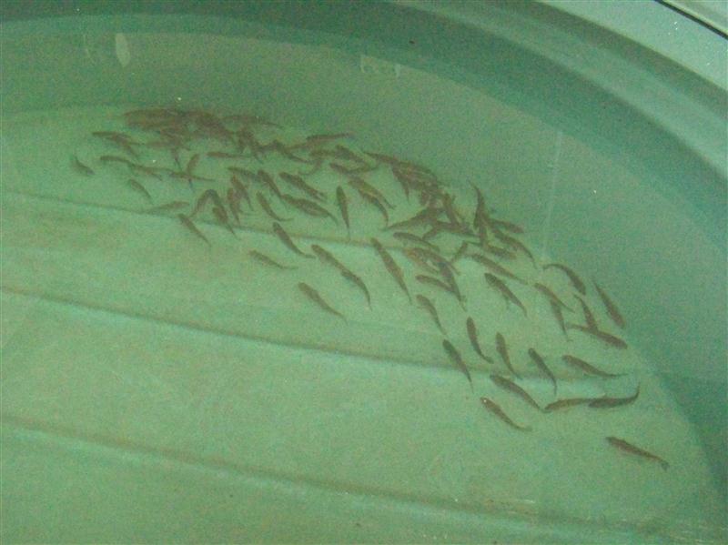 100_5819 (Custom).JPG