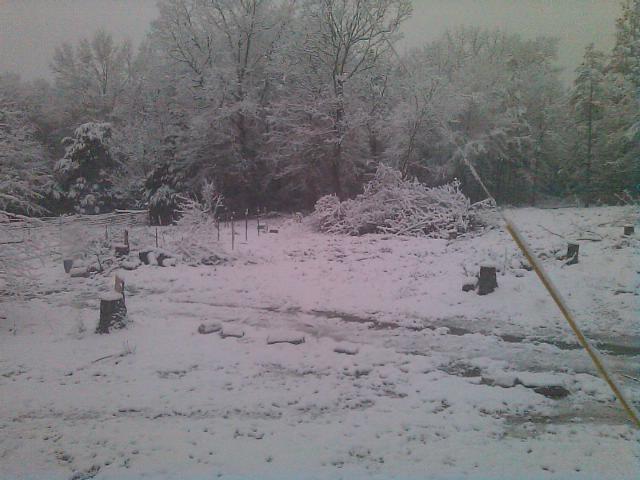 More work done on the acreage.jpg