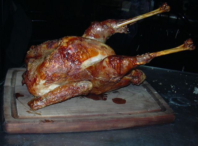 Christmas Turkey.jpg