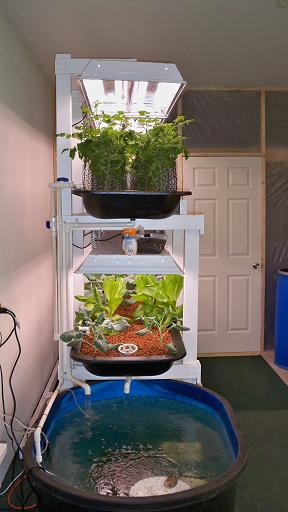 progress 12-25-10 resized.jpg