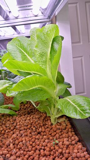 12-25-10 resized.jpg