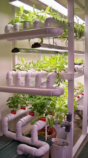 12-27-10 resized.jpg