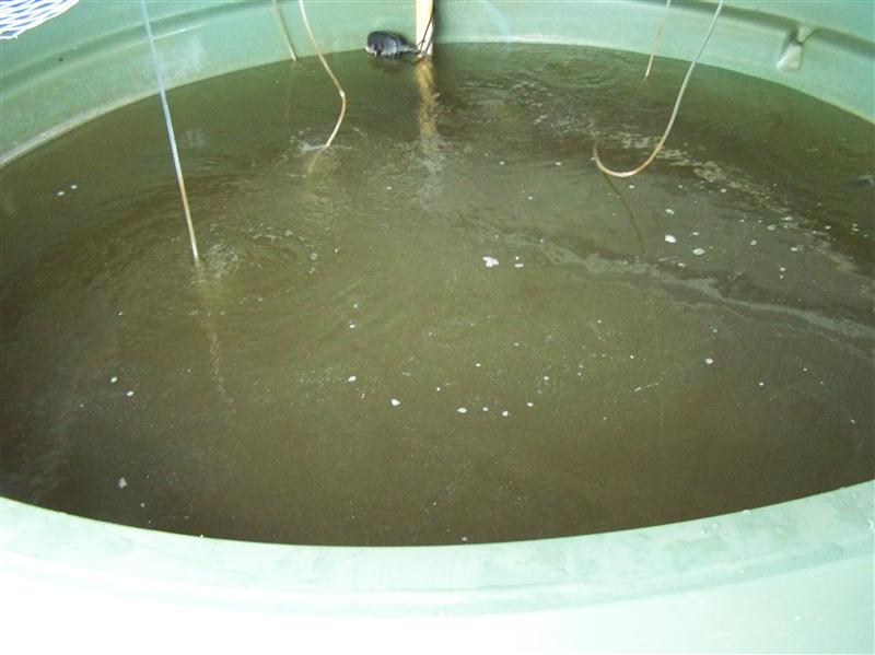 100_5826 (Custom).JPG