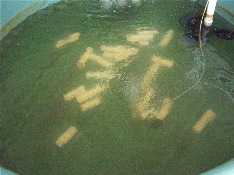 100_5827 (Custom).JPG