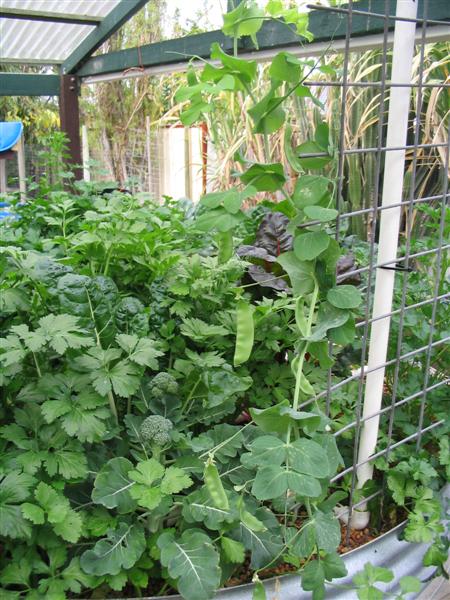 IMG_1881 (Medium).jpg