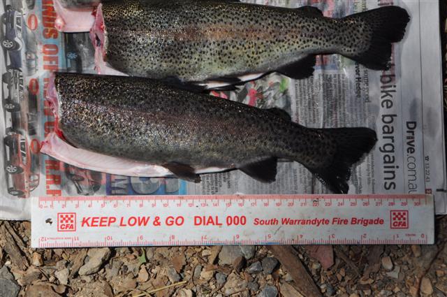 First Harvest 005 (Small).jpg