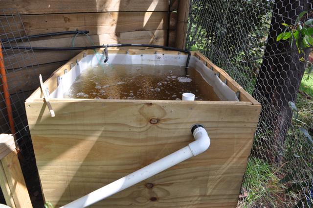 Ready for fish tomorrow (Small).jpg