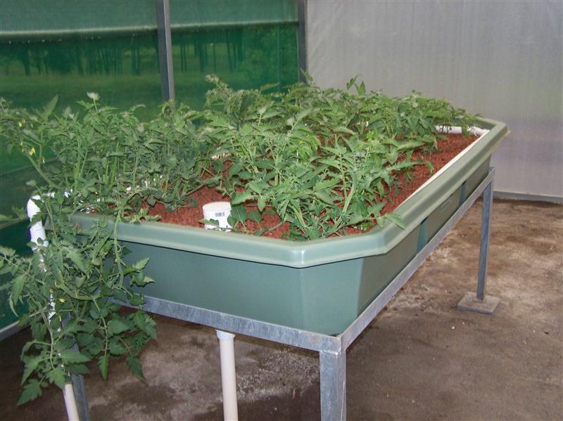 100_5859 (Custom).JPG