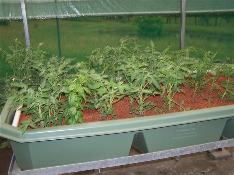 100_5860 (Custom).JPG