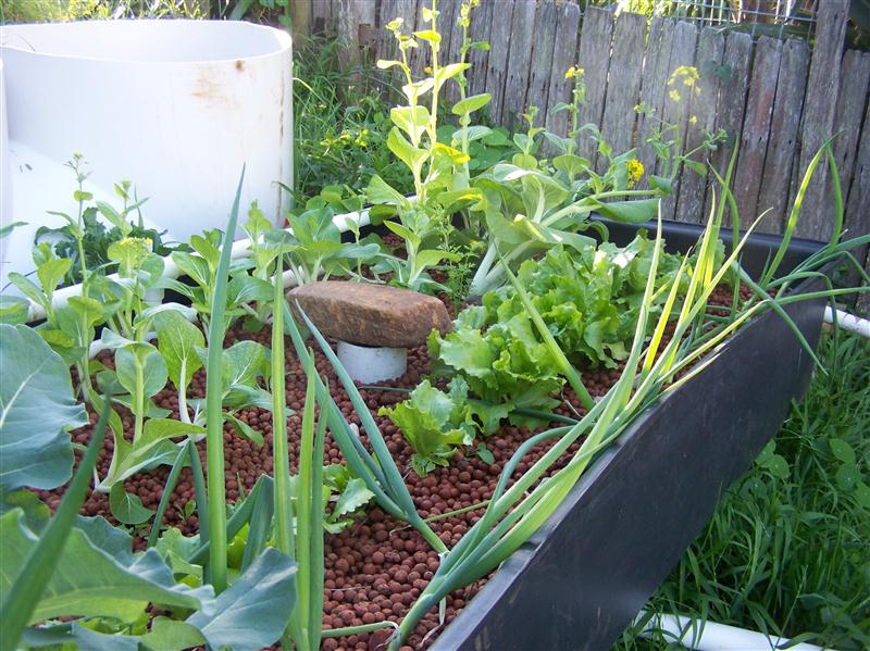 100_5027 (Custom).JPG