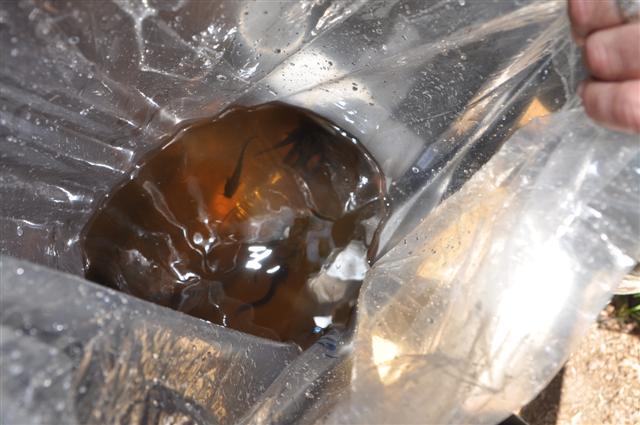 New Arrivals 006 (Small).jpg