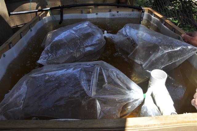 New Arrivals 002 (Small).jpg