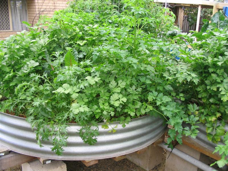 IMG_1878 (Medium).jpg