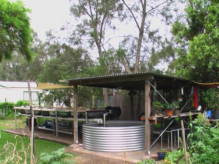 aquaponics 006.jpg