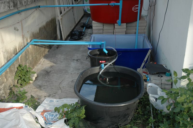sand filter and raft tank.JPG