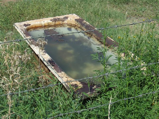 Aquaponics0001 (Small).JPG