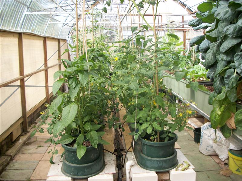 Auto pots sunday 9th 1st 2011 003 (Medium).jpg