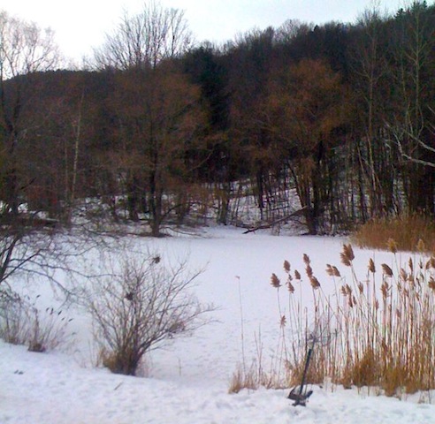 January Pond.jpg