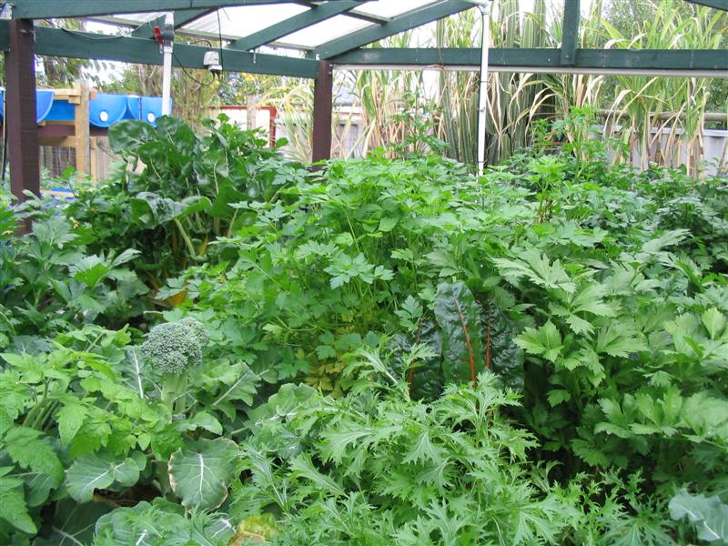 IMG_1877 (Medium).jpg