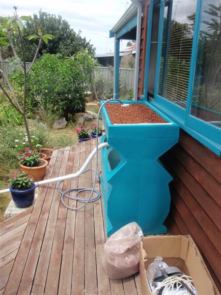 PC210304 (Medium).JPG