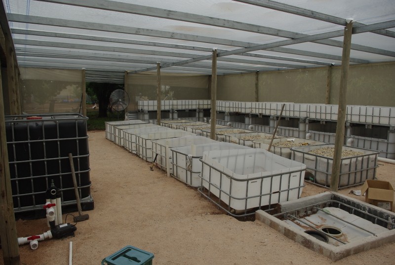 _IGP2012 (800x536).jpg