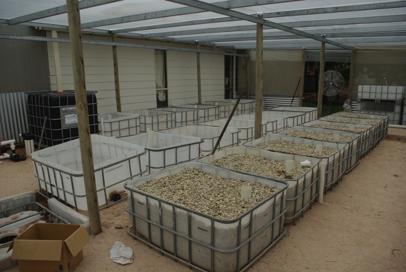 _IGP2013 (800x536).jpg