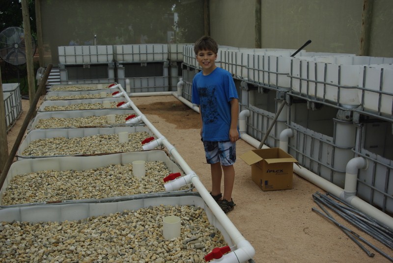 _IGP2022 (800x536).jpg