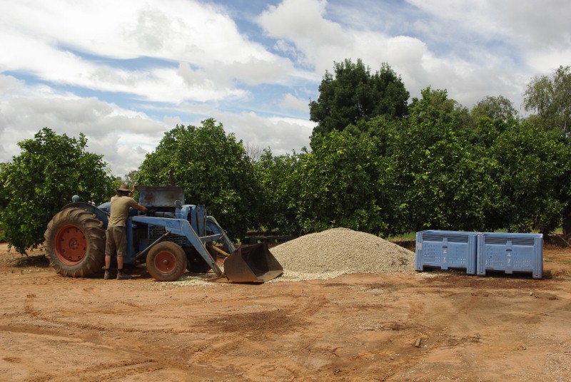 _IGP2032 (800x536).jpg