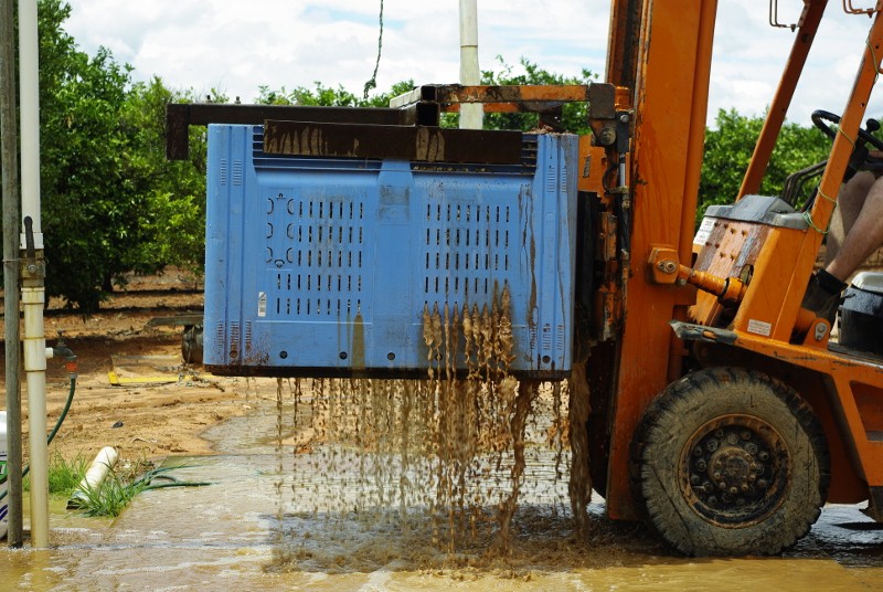 _IGP2045 (800x536).jpg