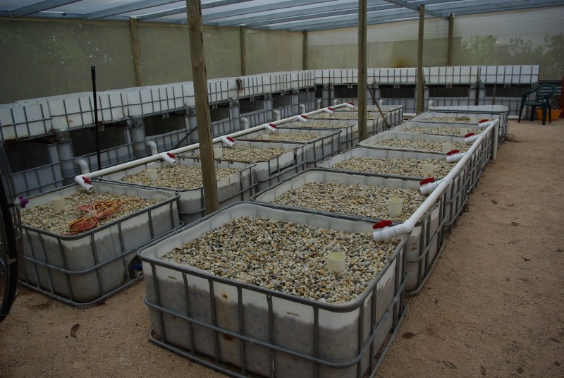 _IGP2050 (800x536).jpg